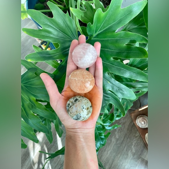 Other - 3 Palmstones from Madagascar